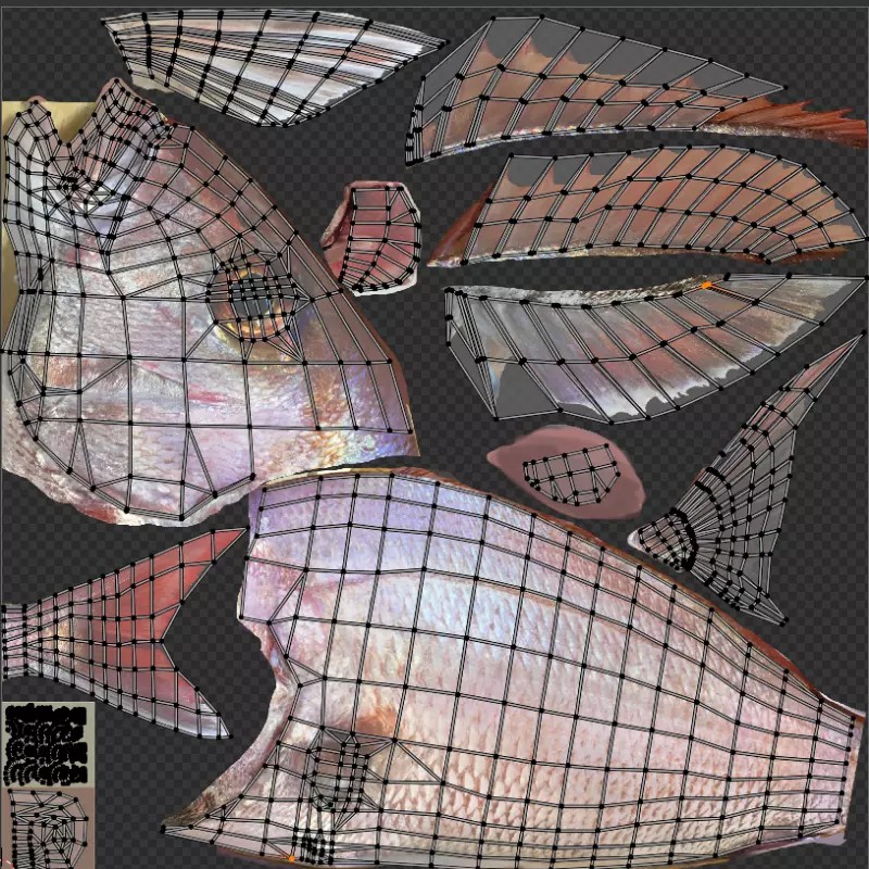Red Sea Bream 3D Model – Low Poly Fish Asset, FBX and Blender - View 9