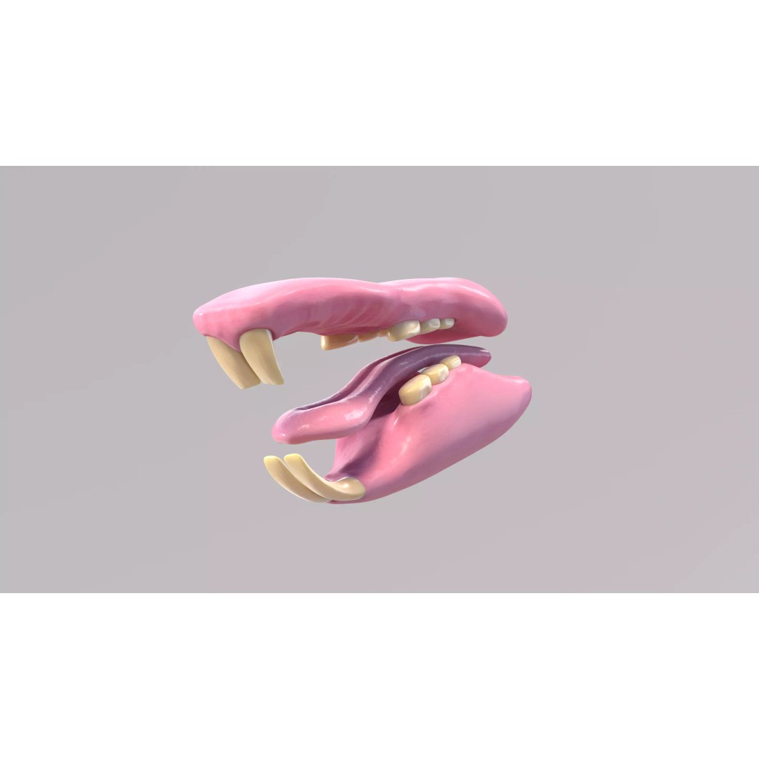 Realistic Rat Fur 3D Model – High Poly Rigged Asset, FBX/OBJ - View 17
