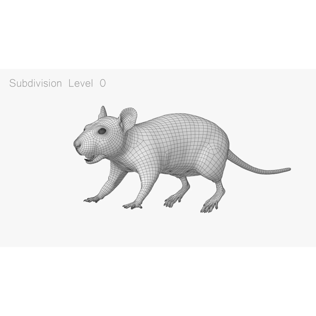 Realistic Rat Fur 3D Model – High Poly Rigged Asset, FBX/OBJ - View 18