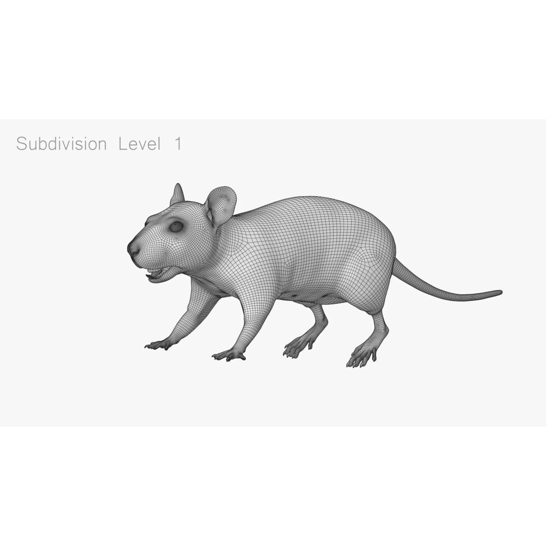 Rigged Rat 3D Model – High Poly Spotted Animal Asset, FBX, OBJ - View 24