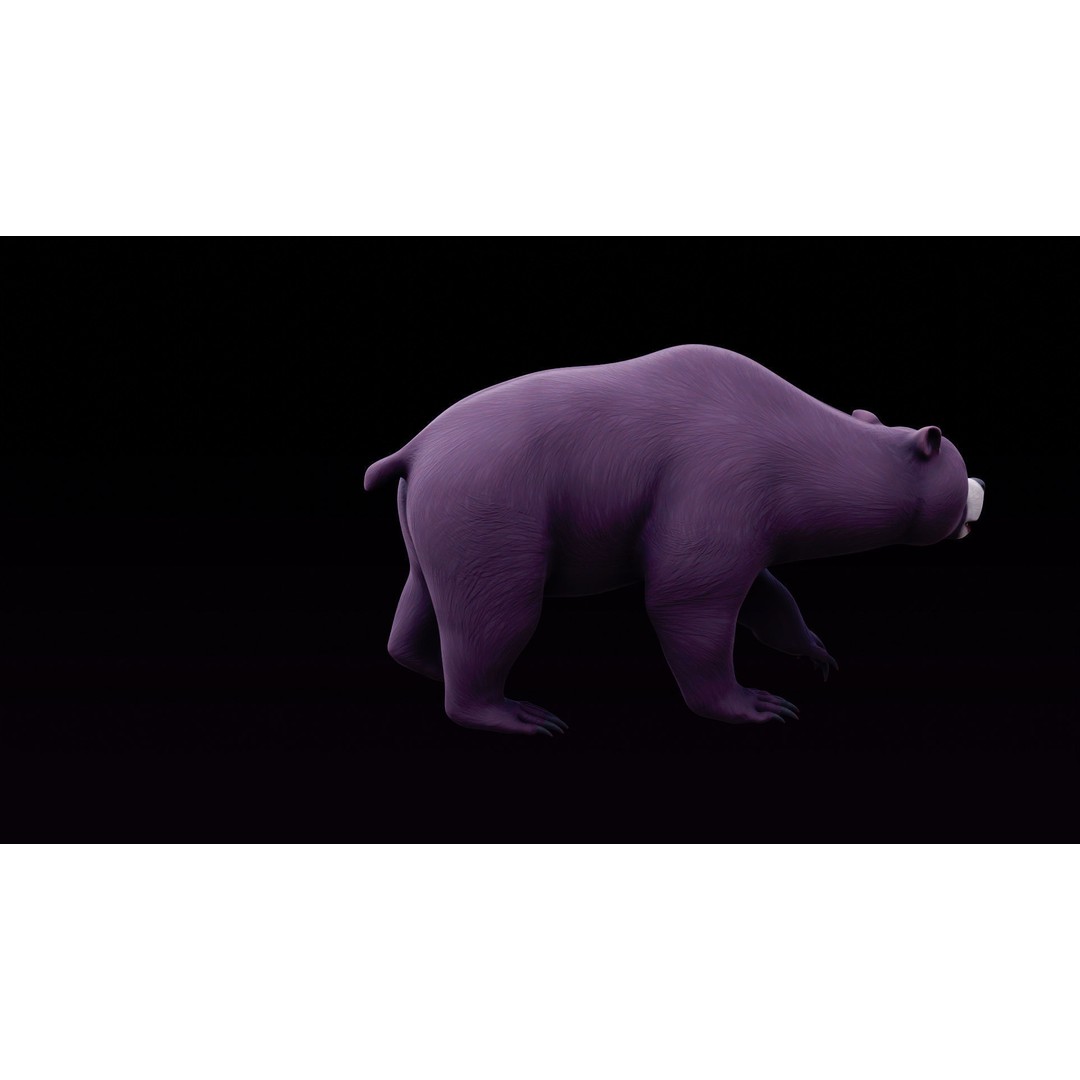 Polar Bear and Grizzly Bear 3D Model – Rigged Low Poly AR-Ready Asset, FBX
