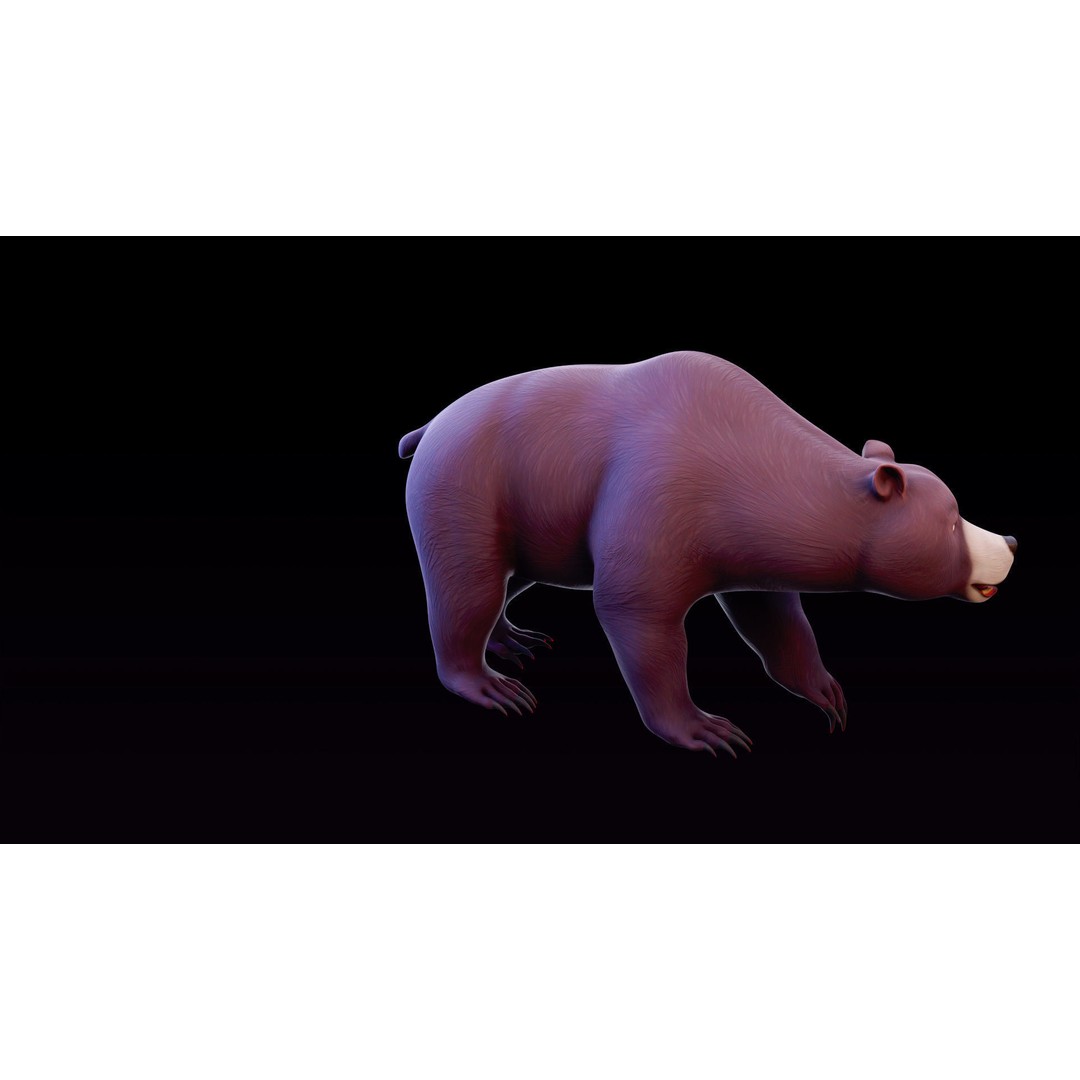 Polar Bear and Grizzly Bear 3D Model – Rigged Low Poly AR-Ready Asset, FBX - View 24