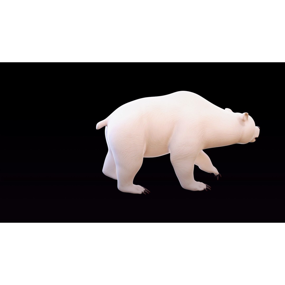 Polar Bear and Grizzly Bear 3D Model – Rigged Low Poly AR-Ready Asset, FBX - View 30