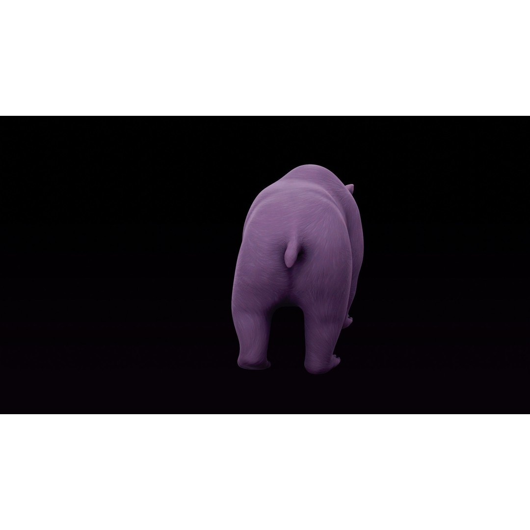 Polar Bear and Grizzly Bear 3D Model – Rigged Low Poly AR-Ready Asset, FBX - View 32