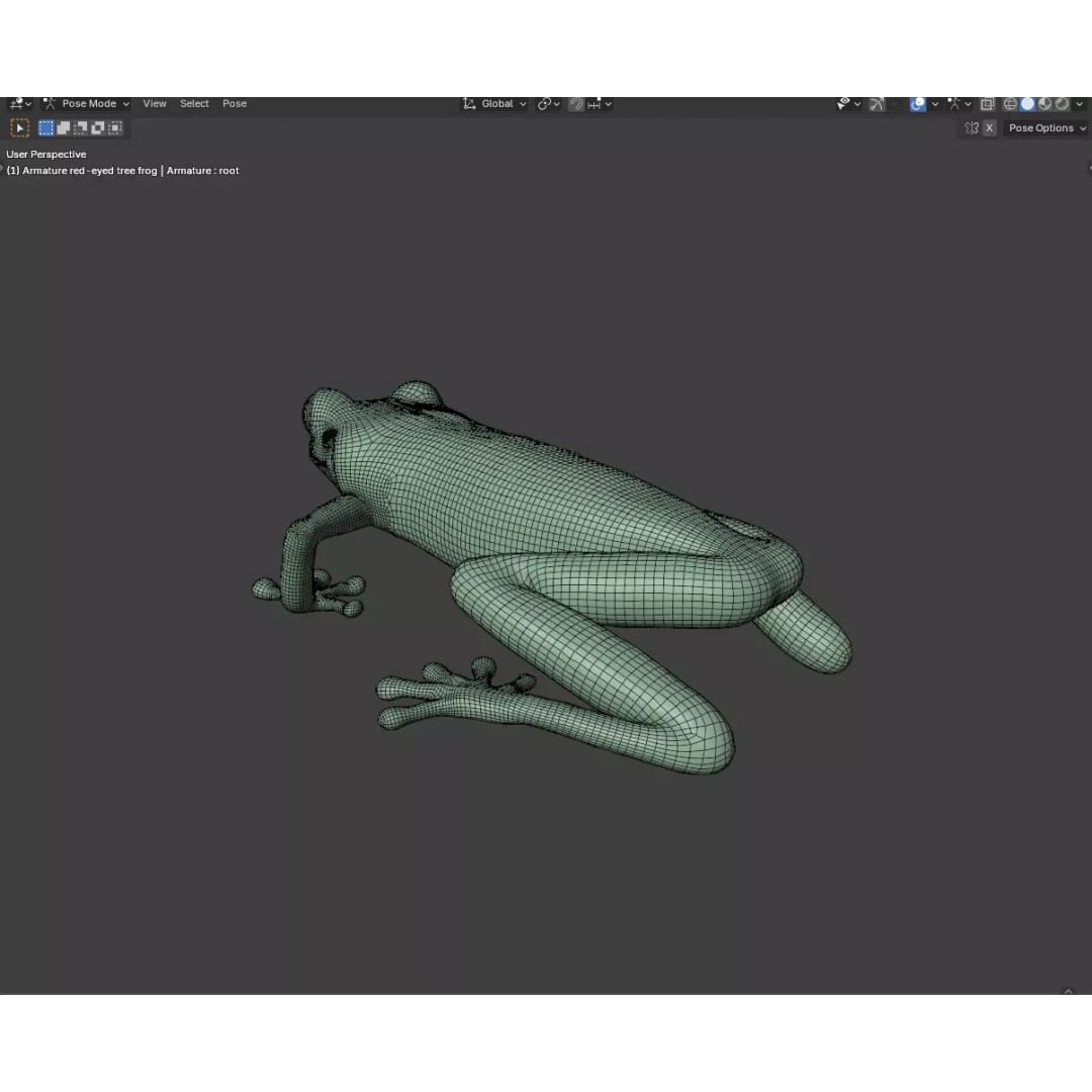Red-Eyed Tree Frog 3D Model – Hyper-Detailed Low Poly Game Asset, FBX