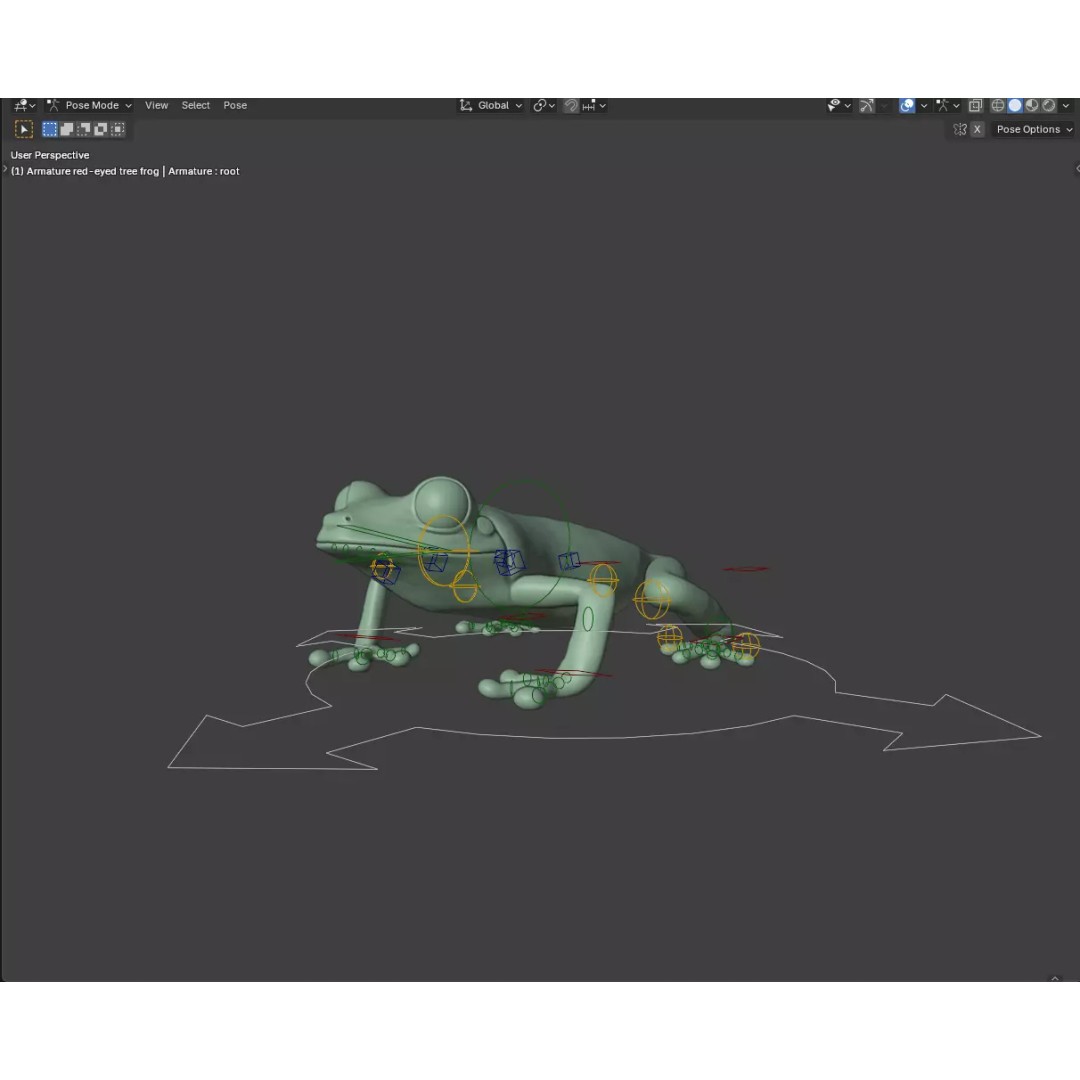 Red-Eyed Tree Frog 3D Model – Hyper-Detailed Low Poly Game Asset, FBX - View 10