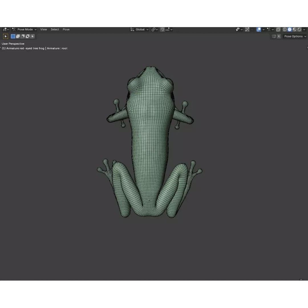 Red-Eyed Tree Frog 3D Model – Hyper-Detailed Low Poly Game Asset, FBX - View 11