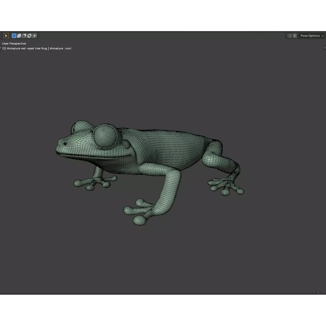 Red-Eyed Tree Frog 3D Model – Hyper-Detailed Low Poly Game Asset, FBX - View 12