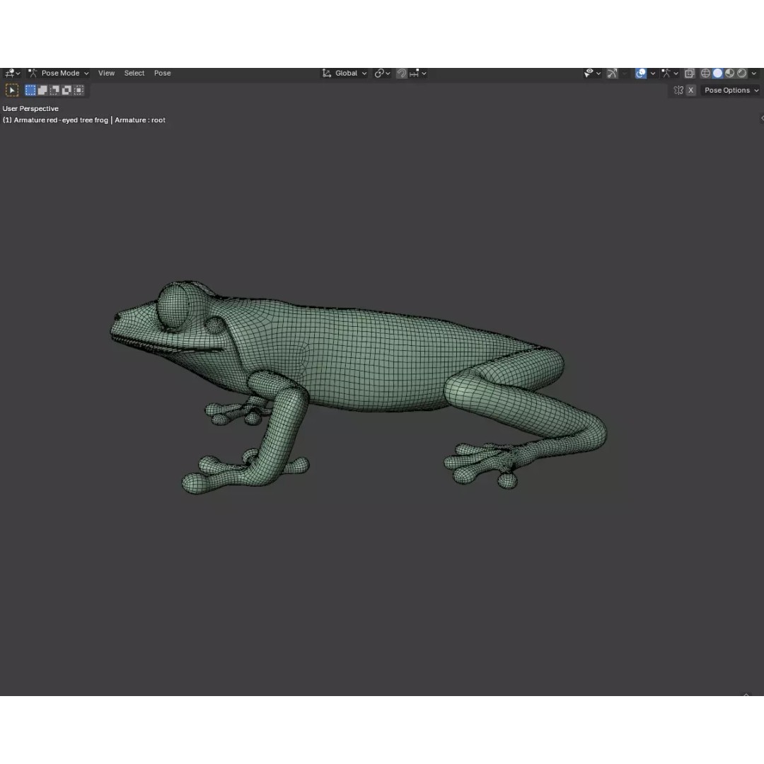 Red-Eyed Tree Frog 3D Model – Hyper-Detailed Low Poly Game Asset, FBX - View 13