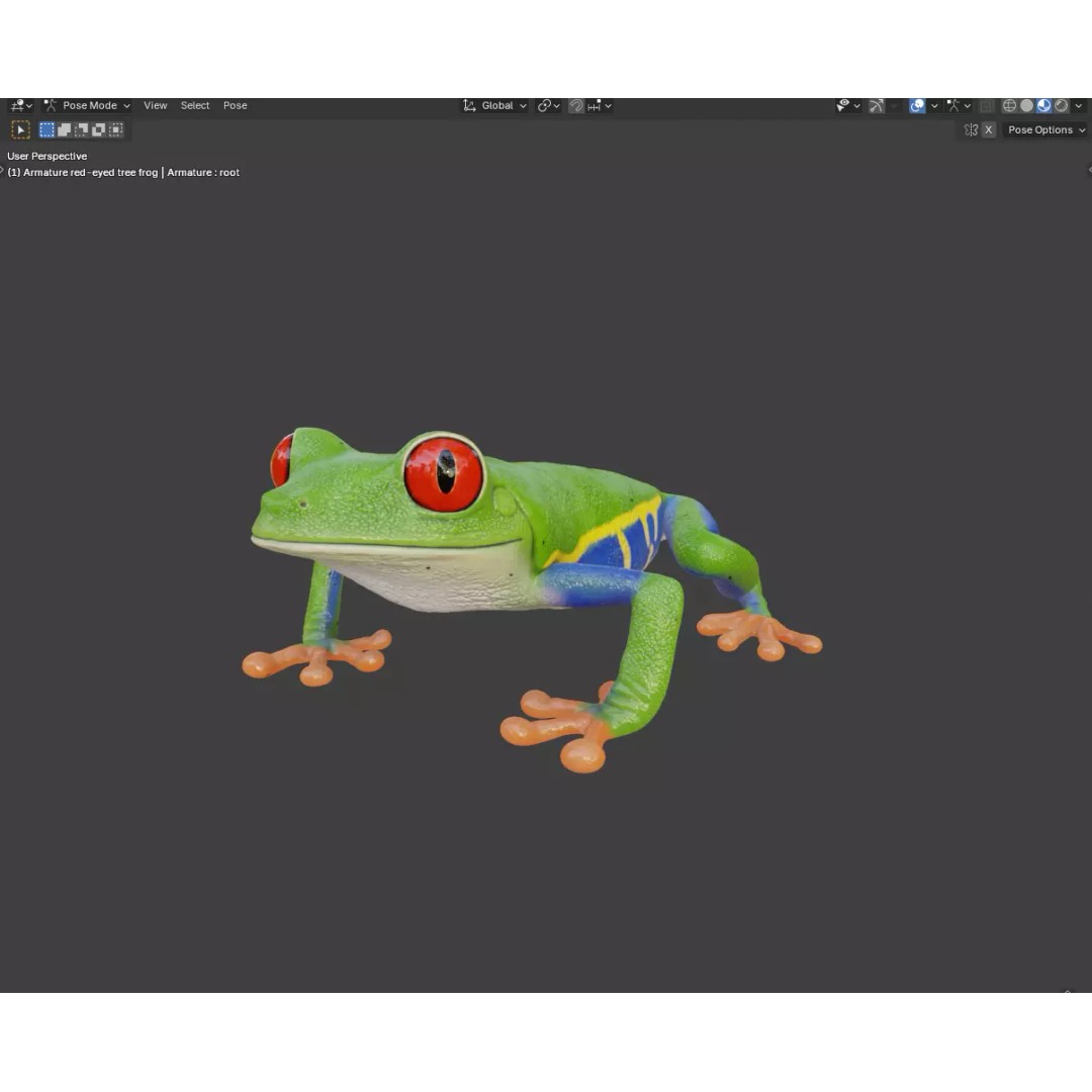 Red-Eyed Tree Frog 3D Model – Hyper-Detailed Low Poly Game Asset, FBX - View 3