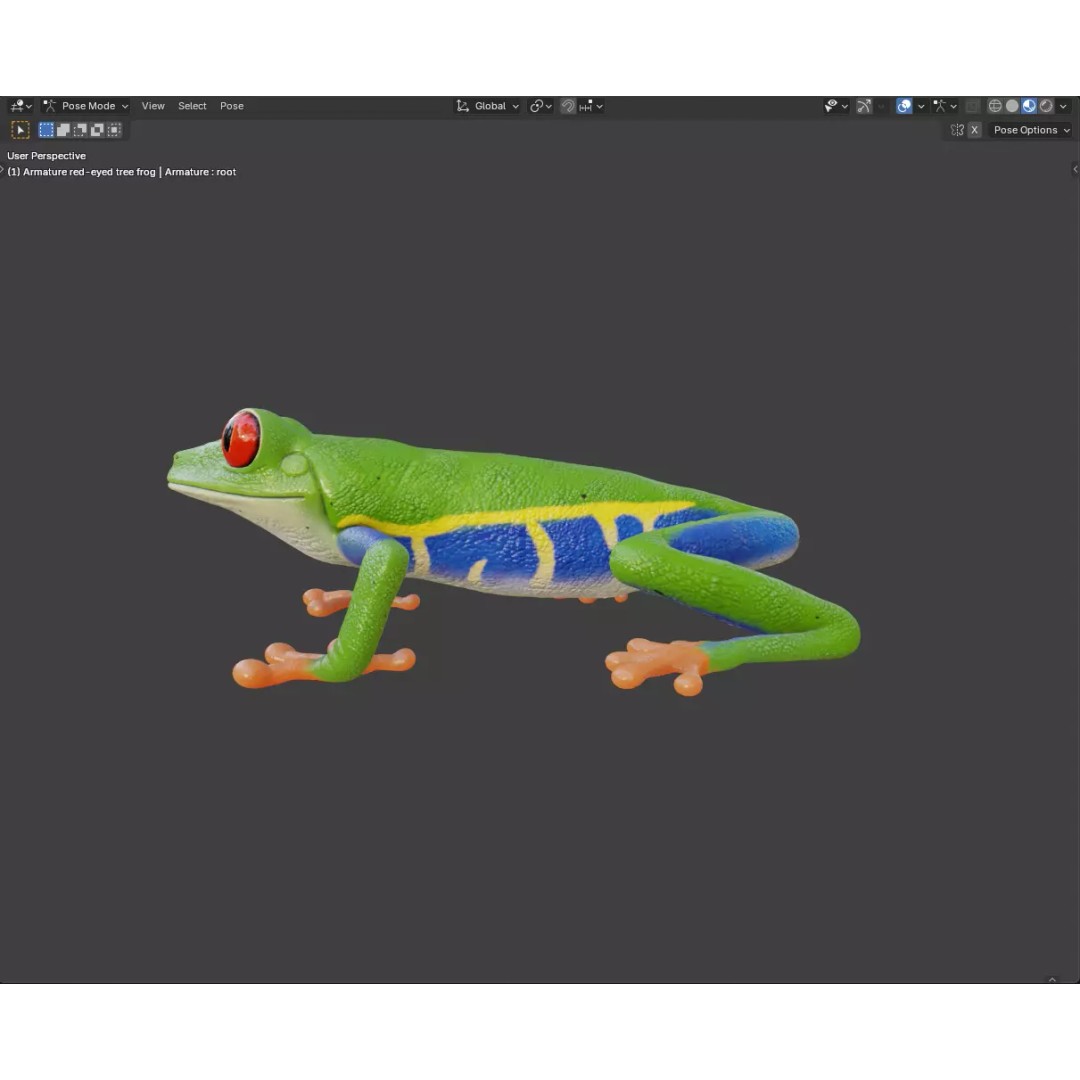 Red-Eyed Tree Frog 3D Model – Hyper-Detailed Low Poly Game Asset, FBX - View 4