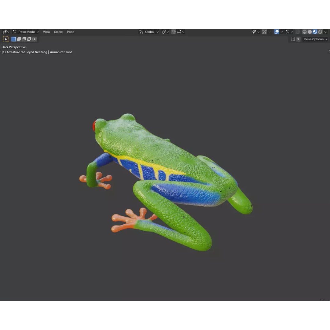 Red-Eyed Tree Frog 3D Model – Hyper-Detailed Low Poly Game Asset, FBX - View 5