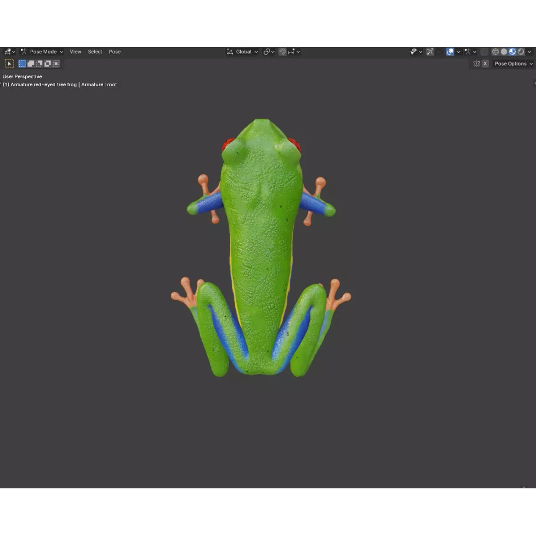 Red-Eyed Tree Frog 3D Model – Hyper-Detailed Low Poly Game Asset, FBX - View 6