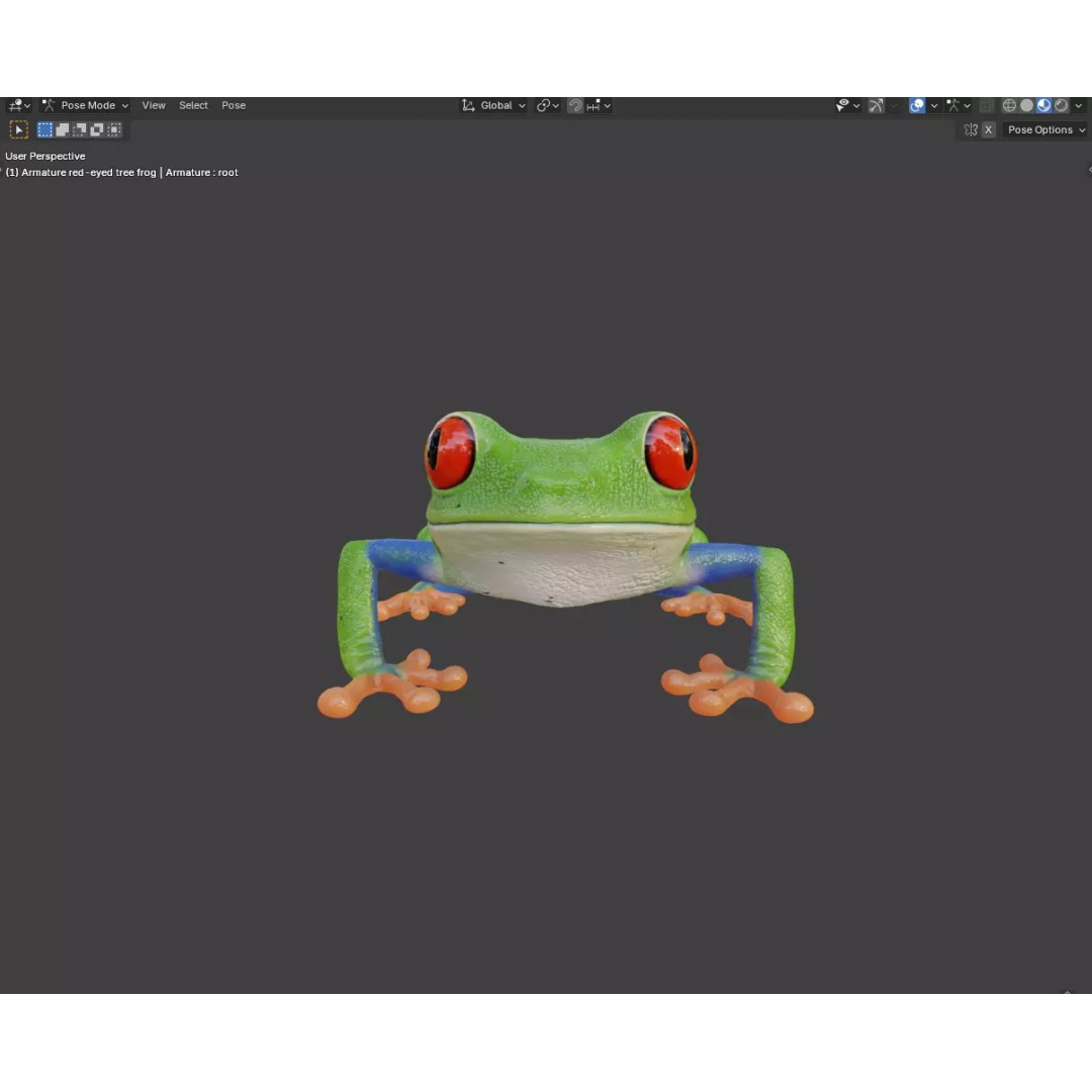 Red-Eyed Tree Frog 3D Model – Hyper-Detailed Low Poly Game Asset, FBX - View 7