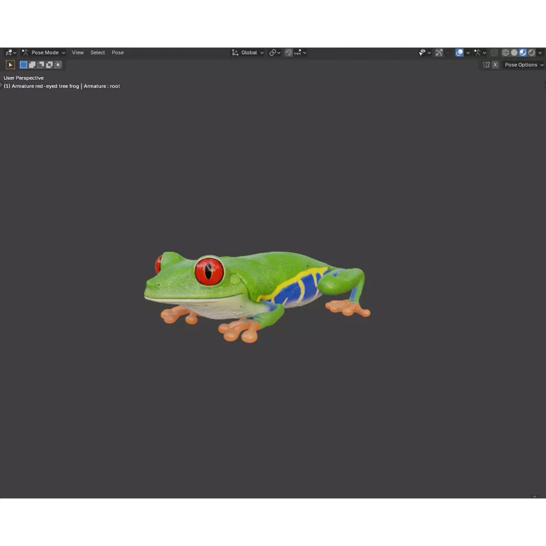Red-Eyed Tree Frog 3D Model – Hyper-Detailed Low Poly Game Asset, FBX - View 8