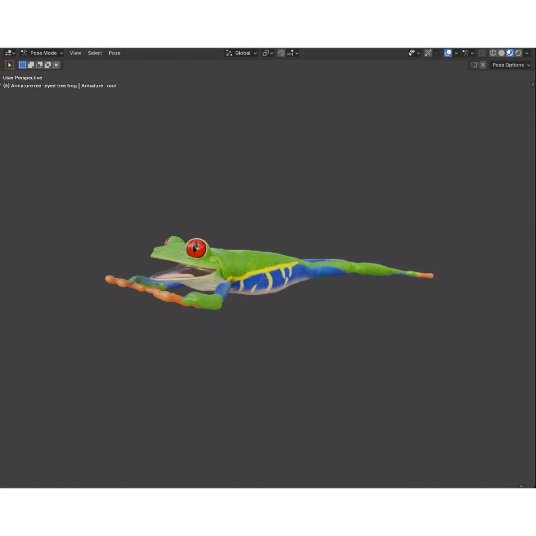 Red-Eyed Tree Frog 3D Model – Hyper-Detailed Low Poly Game Asset, FBX - View 9