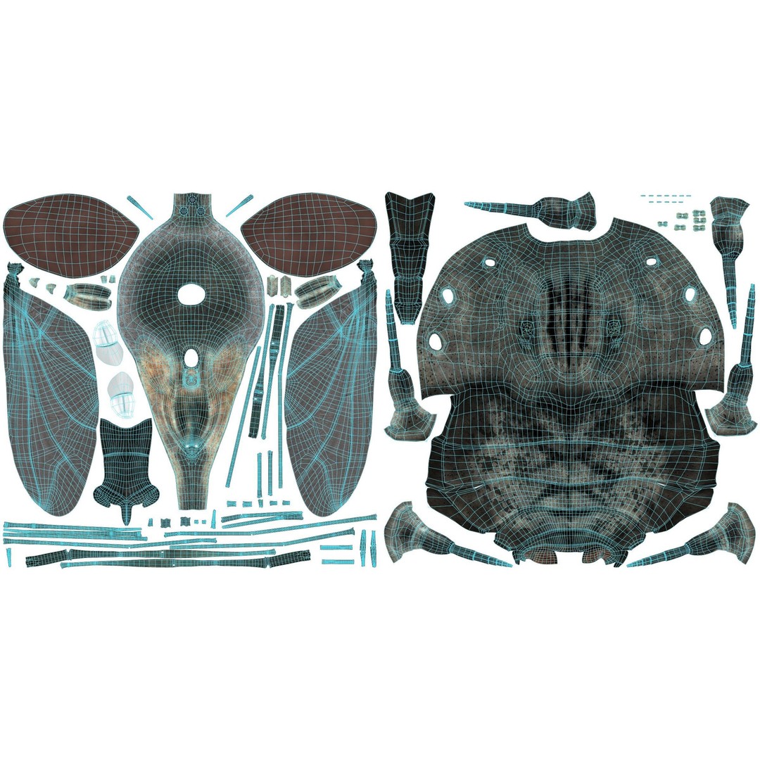 Housefly 3D Model – Realistic Animated Insect with Rigging and Textures