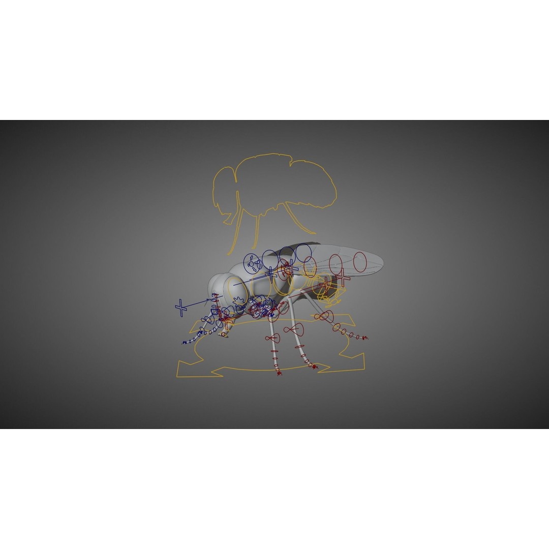 Housefly 3D Model – Realistic Animated Insect with Rigging and Textures - View 10