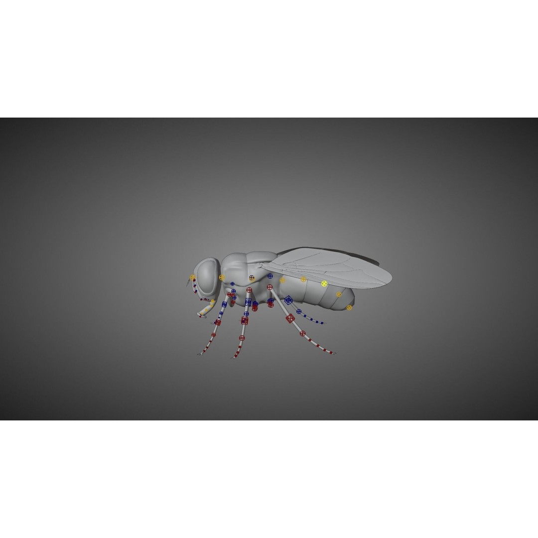 Housefly 3D Model – Realistic Animated Insect with Rigging and Textures - View 11
