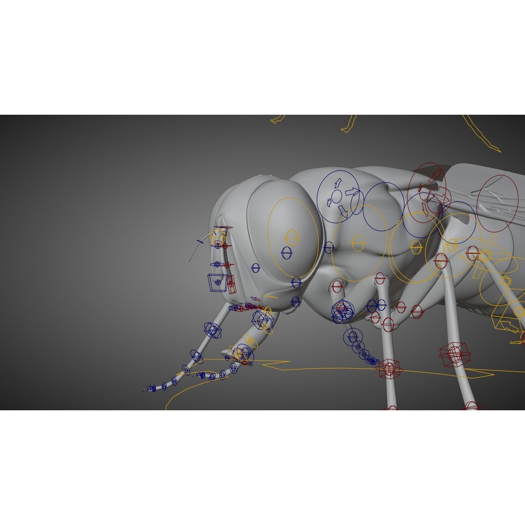 Housefly 3D Model – Realistic Animated Insect with Rigging and Textures - View 13
