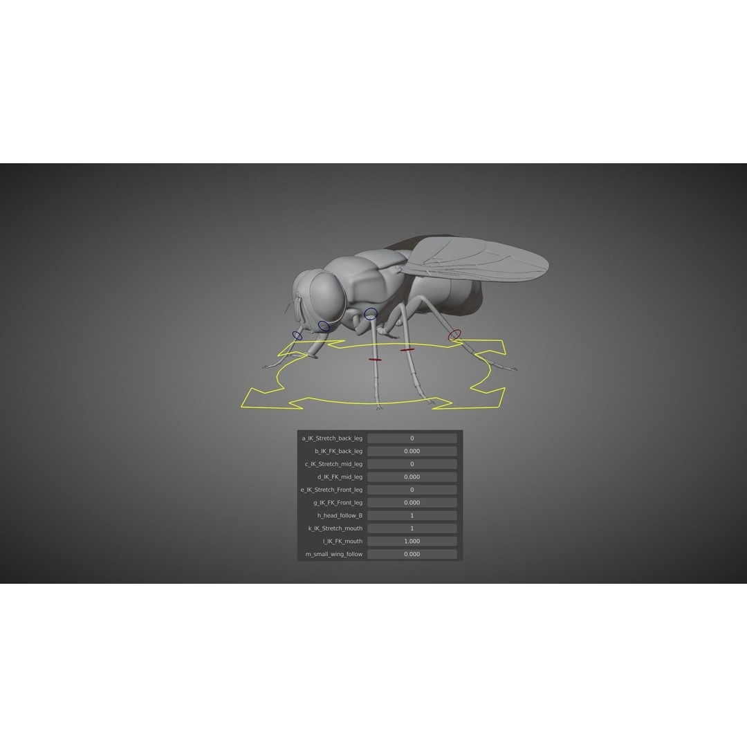 Housefly 3D Model – Realistic Animated Insect with Rigging and Textures - View 14