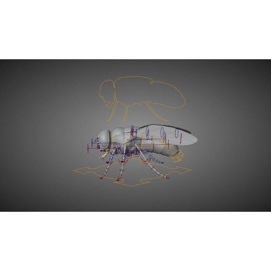 Housefly 3D Model – Realistic Animated Insect with Rigging and Textures - View 9
