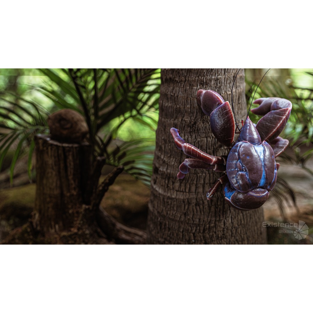 Coconut Crab 3D Model – Low Poly PBR Creature, FBX & Unreal Engine - View 10