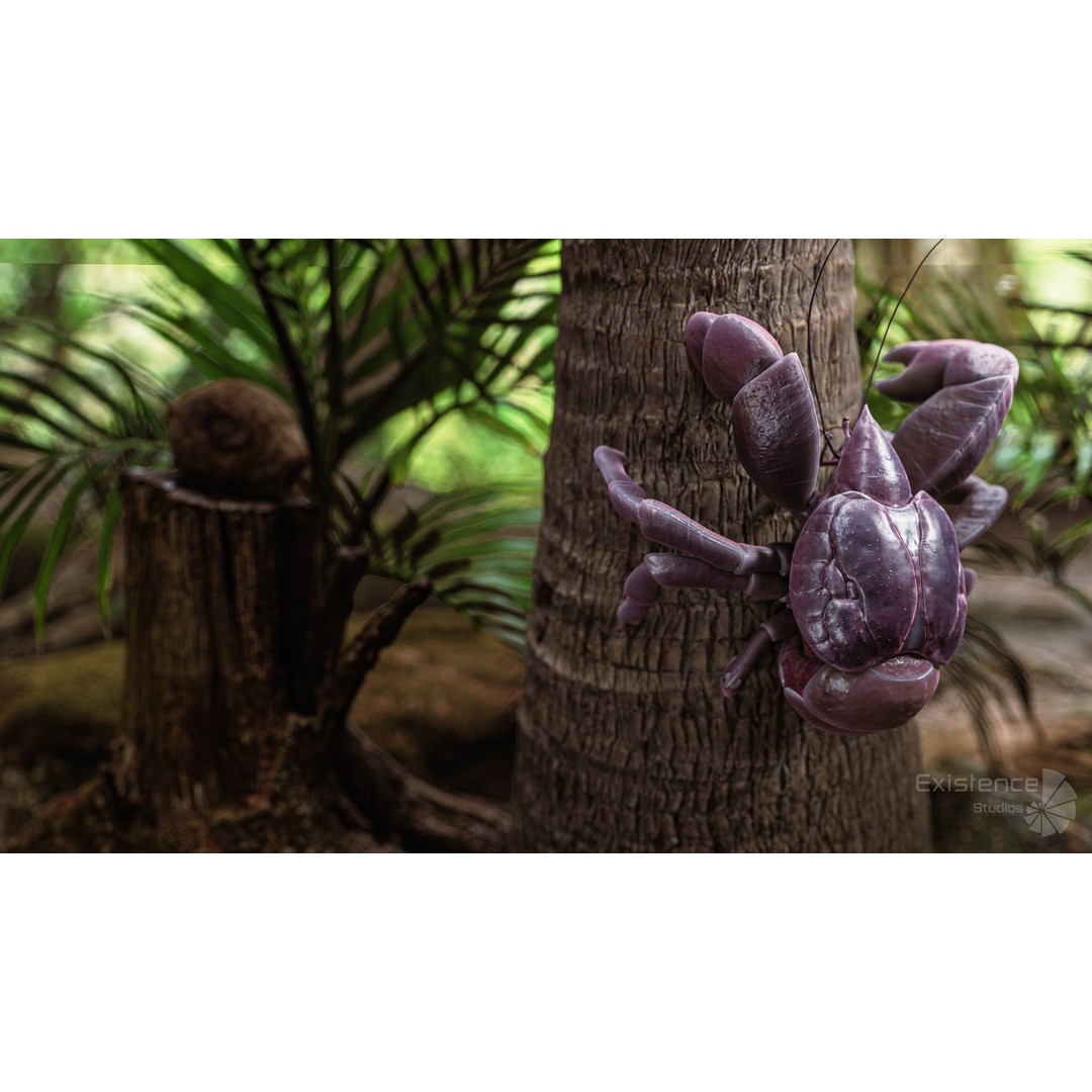 Coconut Crab 3D Model – Low Poly PBR Creature, FBX & Unreal Engine - View 11