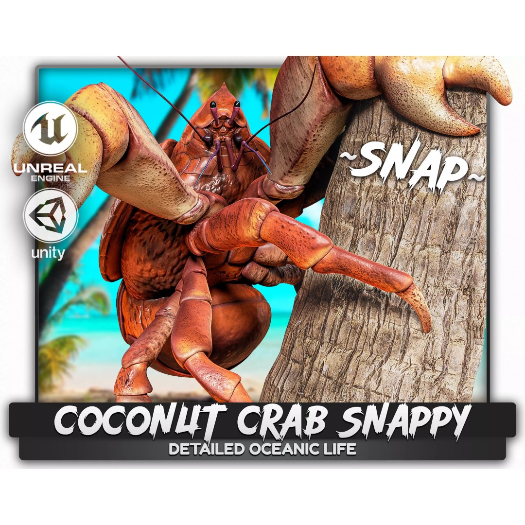 Coconut Crab 3D Model – Low Poly PBR Creature, FBX & Unreal Engine - View 2