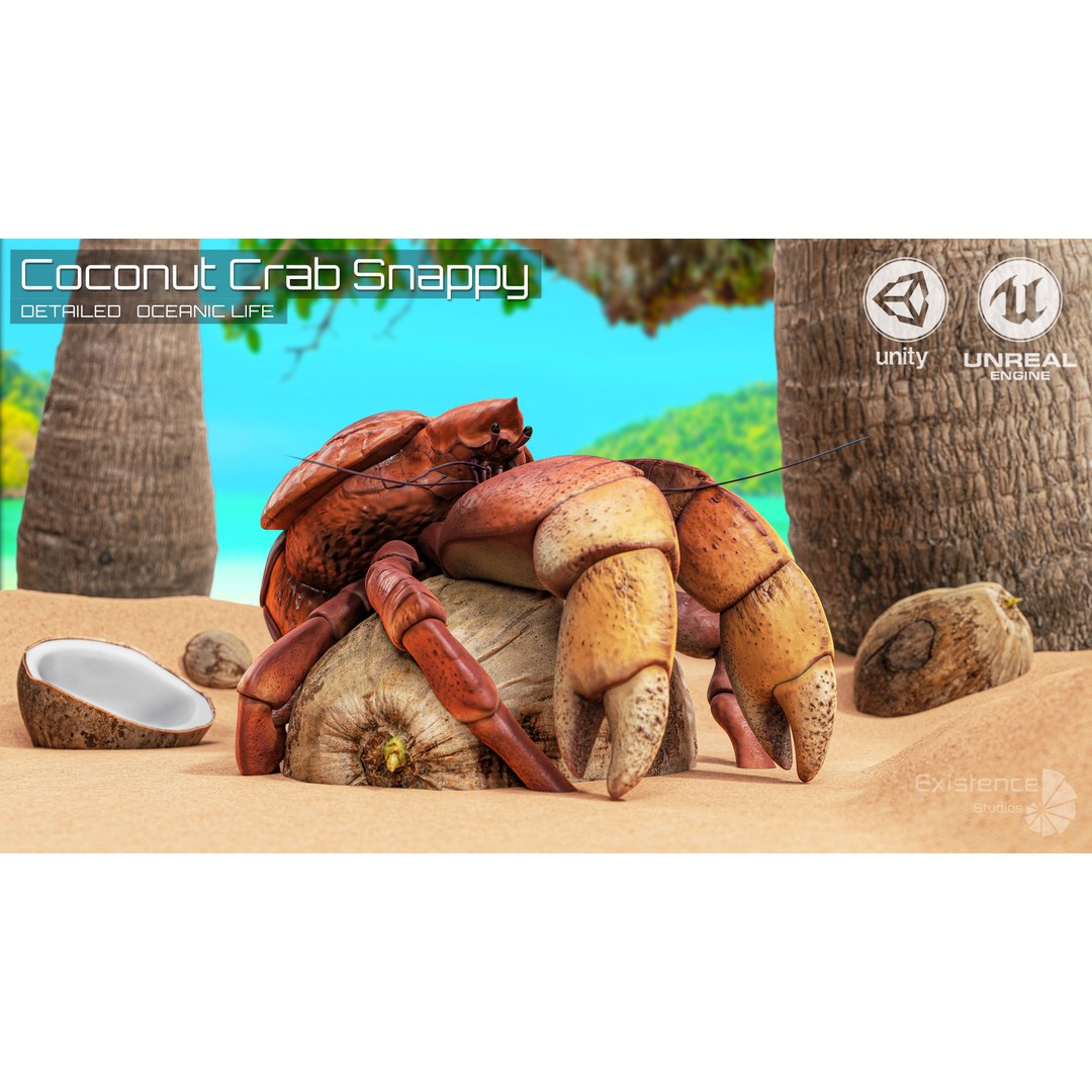 Coconut Crab 3D Model – Low Poly PBR Creature, FBX & Unreal Engine - View 3