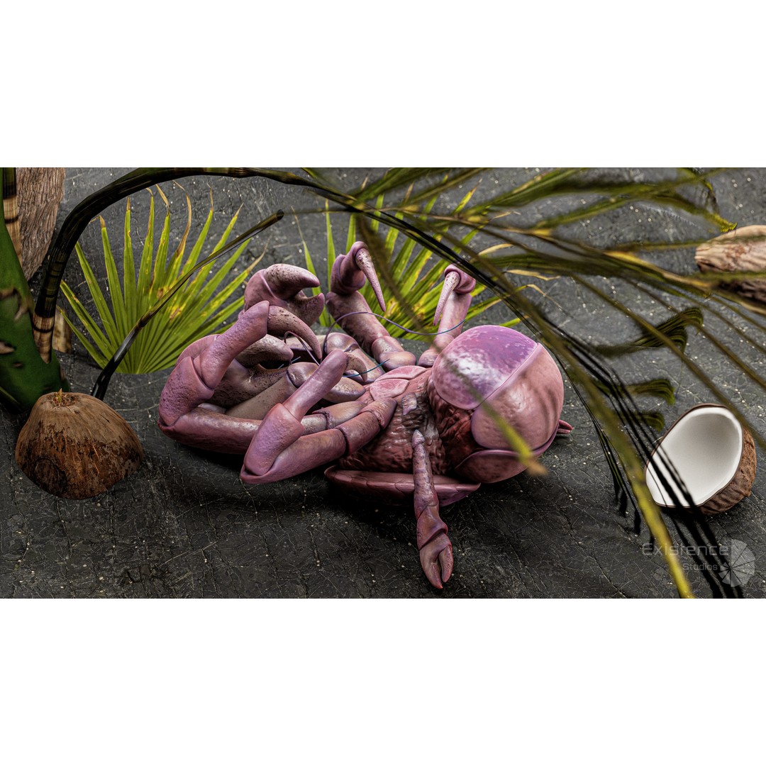 Coconut Crab 3D Model – Low Poly PBR Creature, FBX & Unreal Engine - View 5