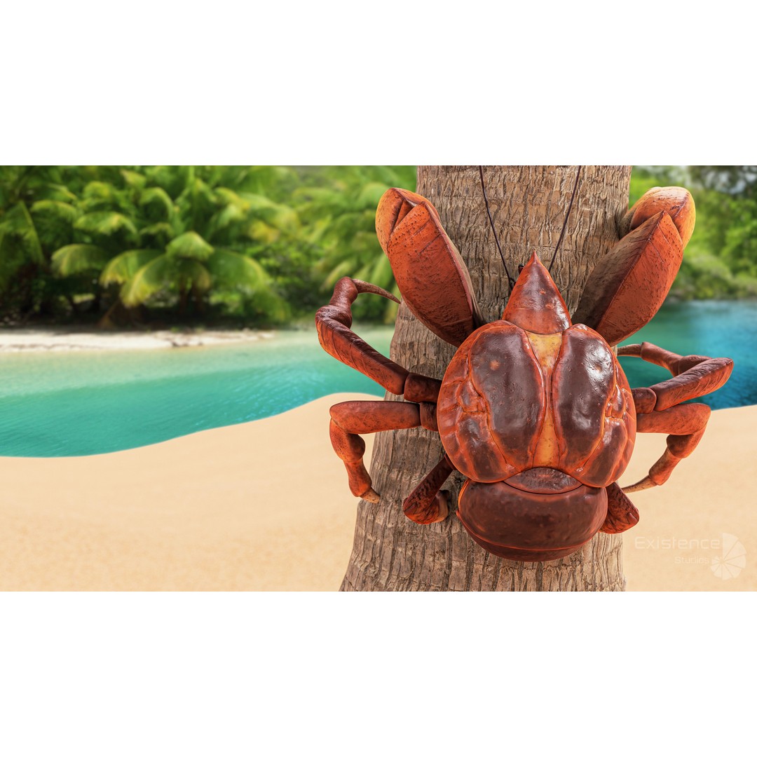 Coconut Crab 3D Model – Low Poly PBR Creature, FBX & Unreal Engine - View 8