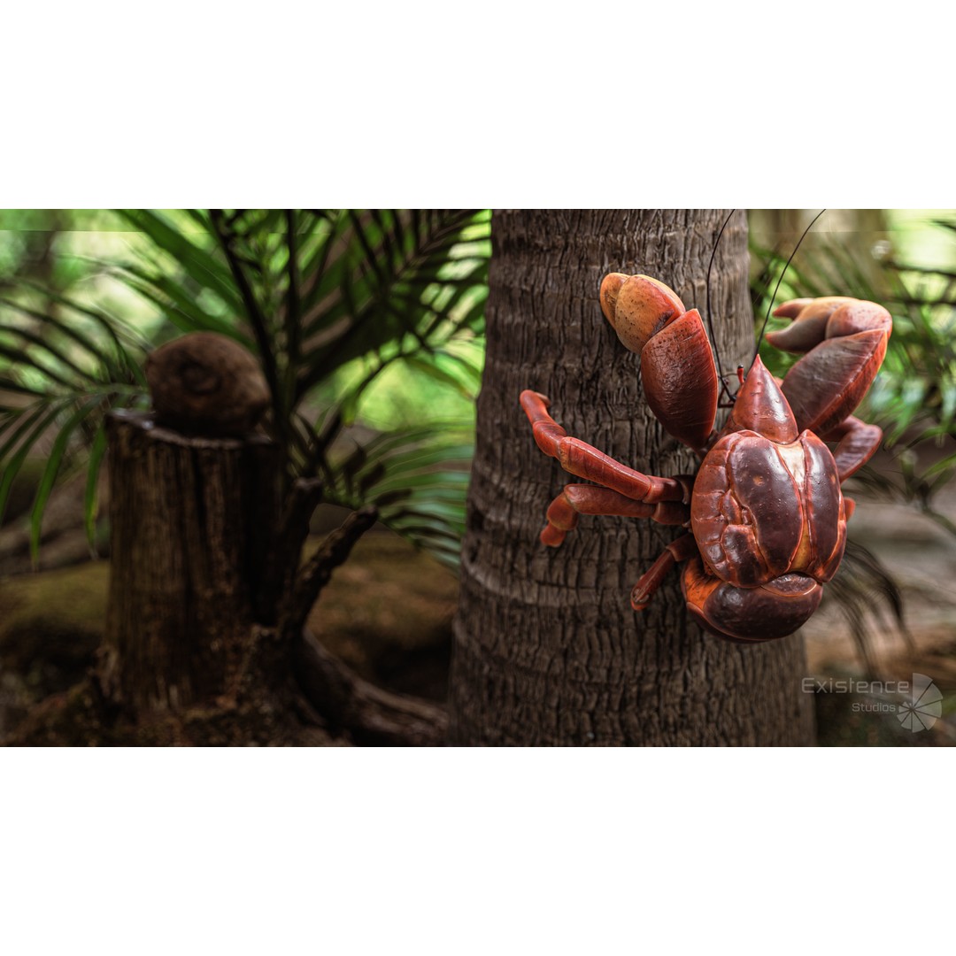 Coconut Crab 3D Model – Low Poly PBR Creature, FBX & Unreal Engine - View 9