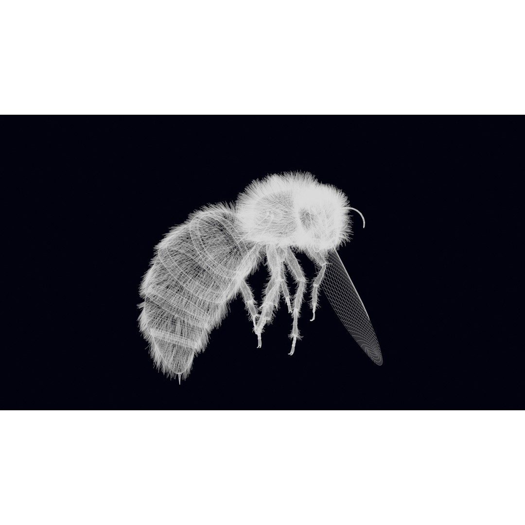 Animated Worker Bee 3D Model – Rigged PBR Asset, FBX & Blender Formats