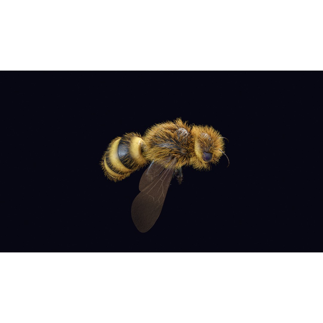 Animated Worker Bee 3D Model – Rigged PBR Asset, FBX & Blender Formats - View 11