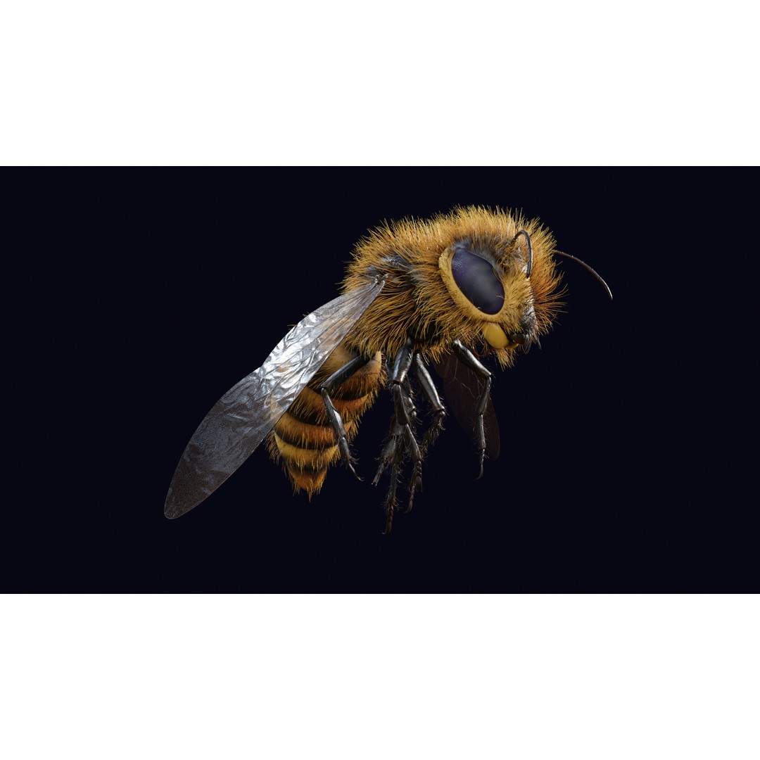 Animated Worker Bee 3D Model – Rigged PBR Asset, FBX & Blender Formats - View 12