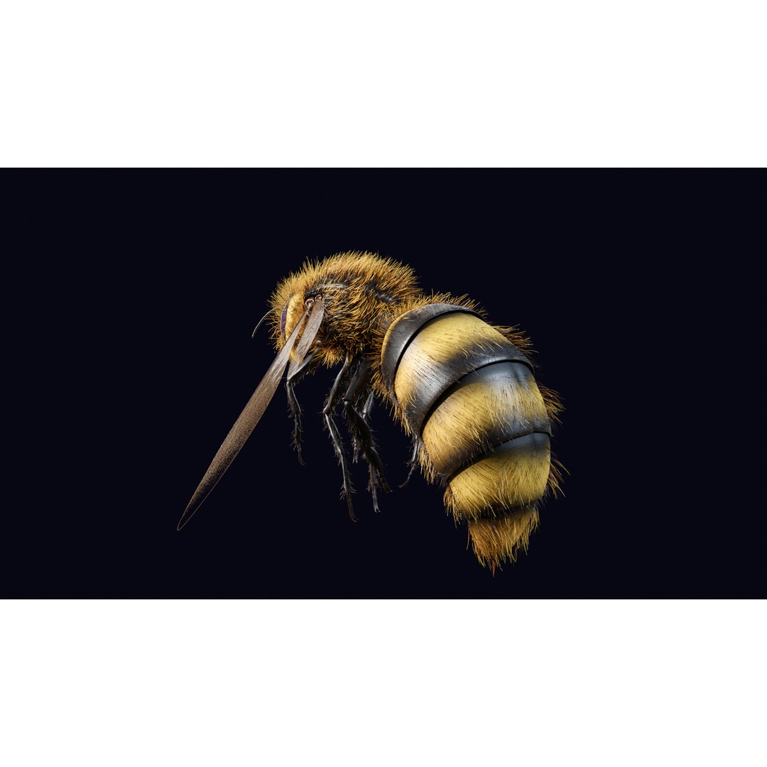 Animated Worker Bee 3D Model – Rigged PBR Asset, FBX & Blender Formats - View 13