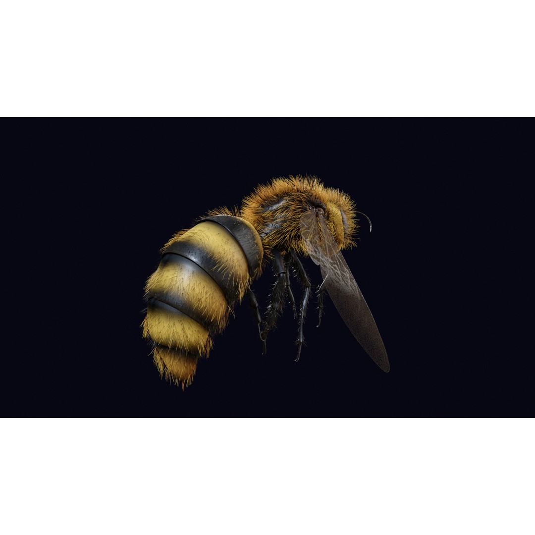 Animated Worker Bee 3D Model – Rigged PBR Asset, FBX & Blender Formats - View 14