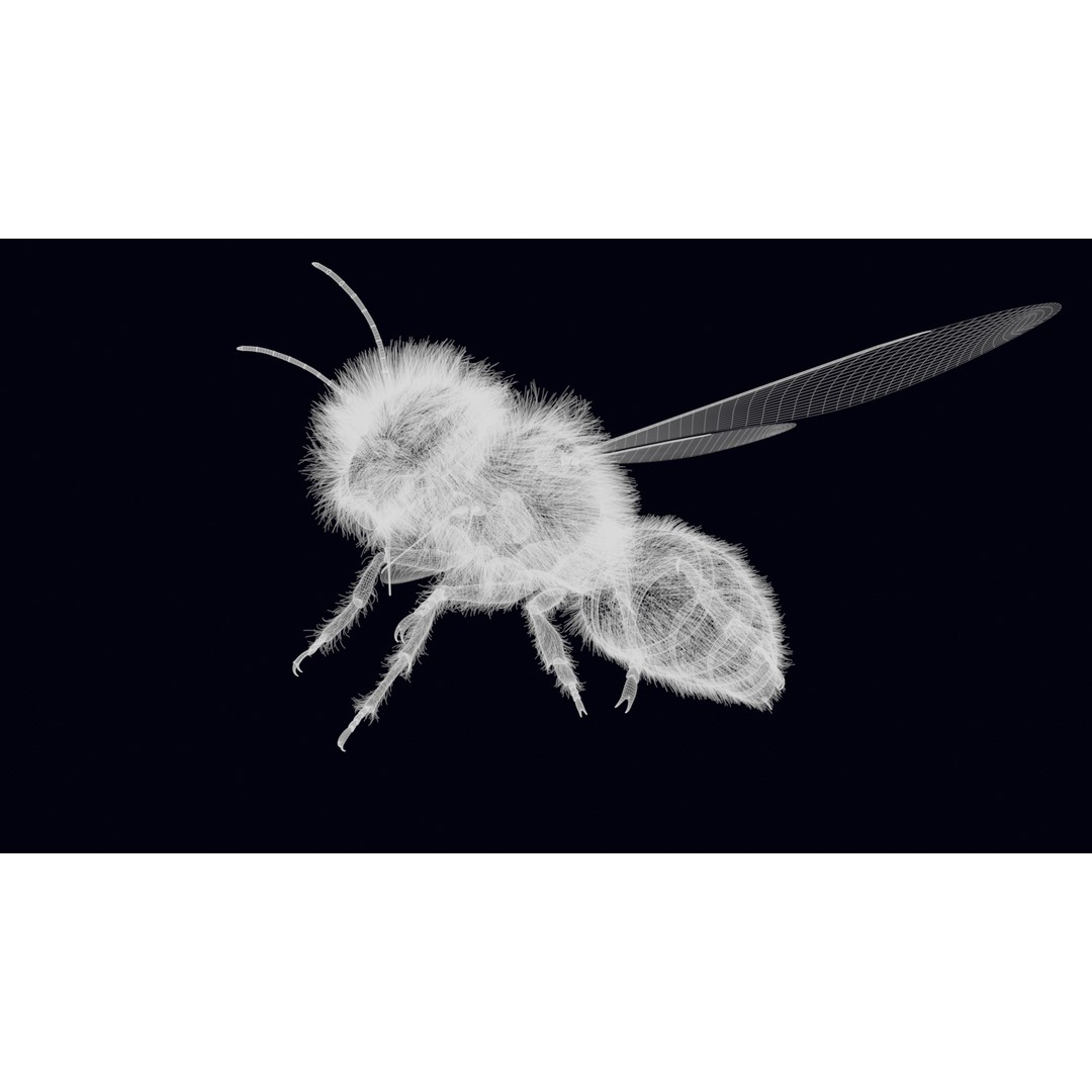 Animated Worker Bee 3D Model – Rigged PBR Asset, FBX & Blender Formats - View 19