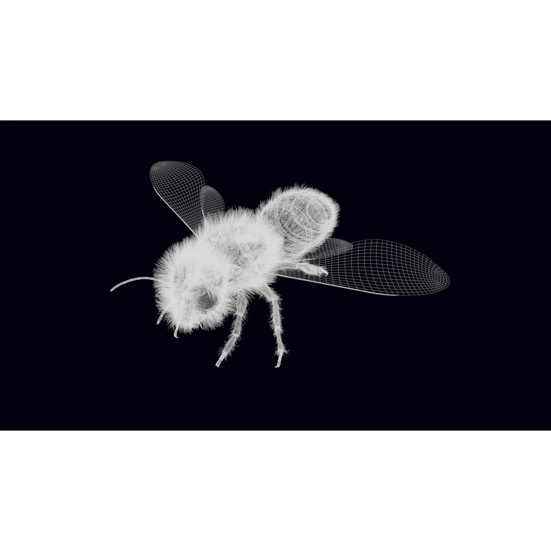 Animated Worker Bee 3D Model – Rigged PBR Asset, FBX & Blender Formats - View 20