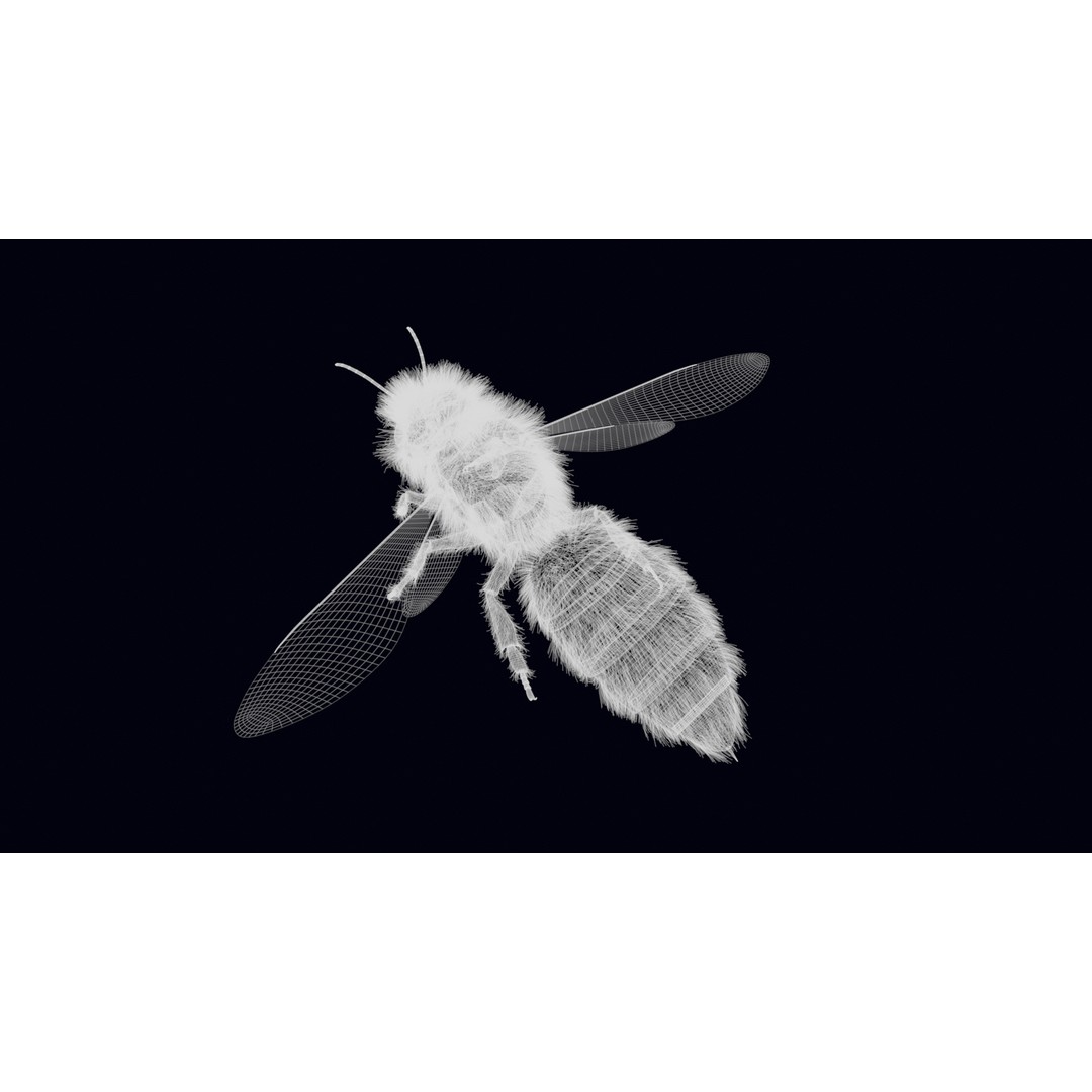 Animated Worker Bee 3D Model – Rigged PBR Asset, FBX & Blender Formats - View 21