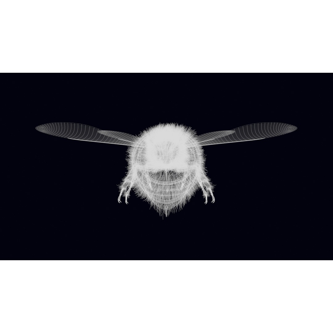 Animated Worker Bee 3D Model – Rigged PBR Asset, FBX & Blender Formats - View 22