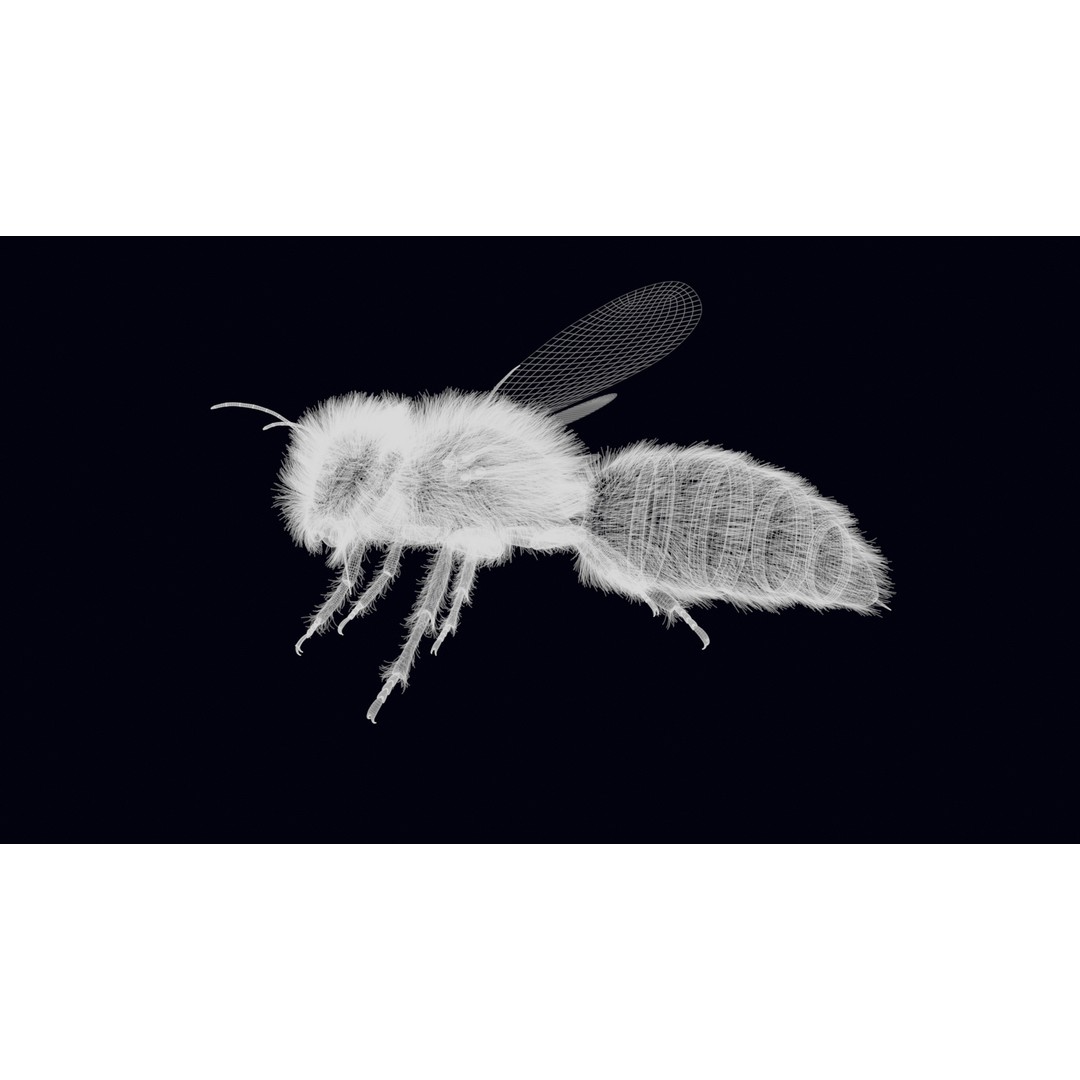 Animated Worker Bee 3D Model – Rigged PBR Asset, FBX & Blender Formats - View 24