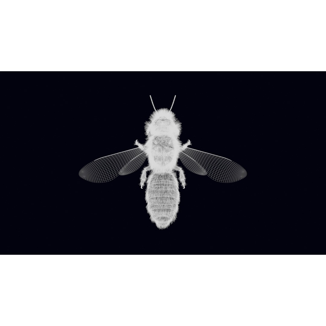 Animated Worker Bee 3D Model – Rigged PBR Asset, FBX & Blender Formats - View 25