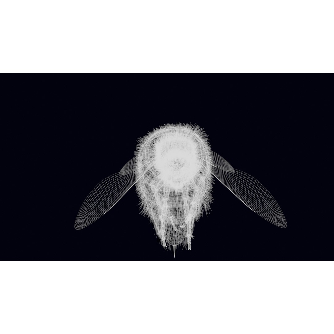Animated Worker Bee 3D Model – Rigged PBR Asset, FBX & Blender Formats - View 26