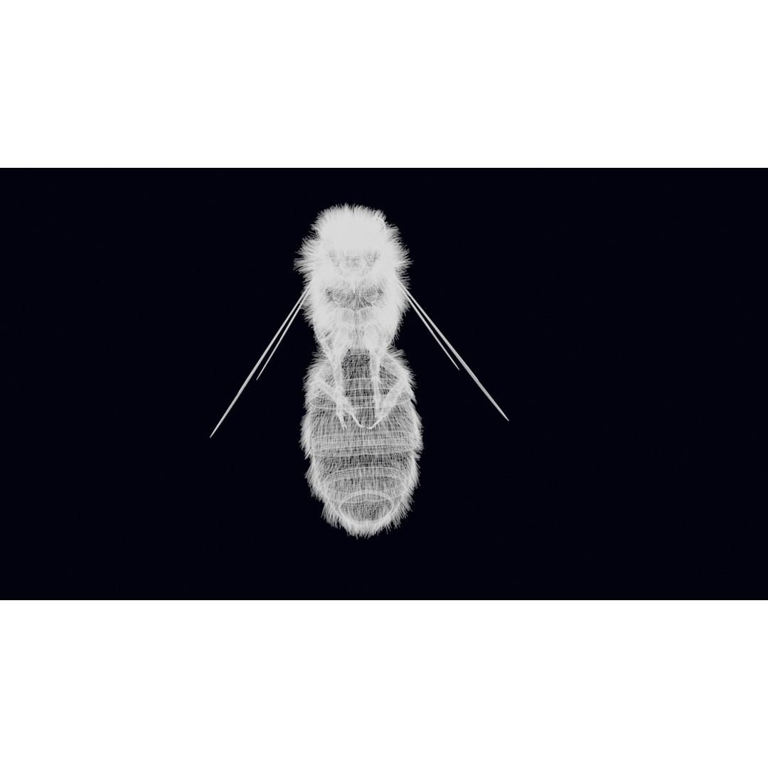 Animated Worker Bee 3D Model – Rigged PBR Asset, FBX & Blender Formats - View 27