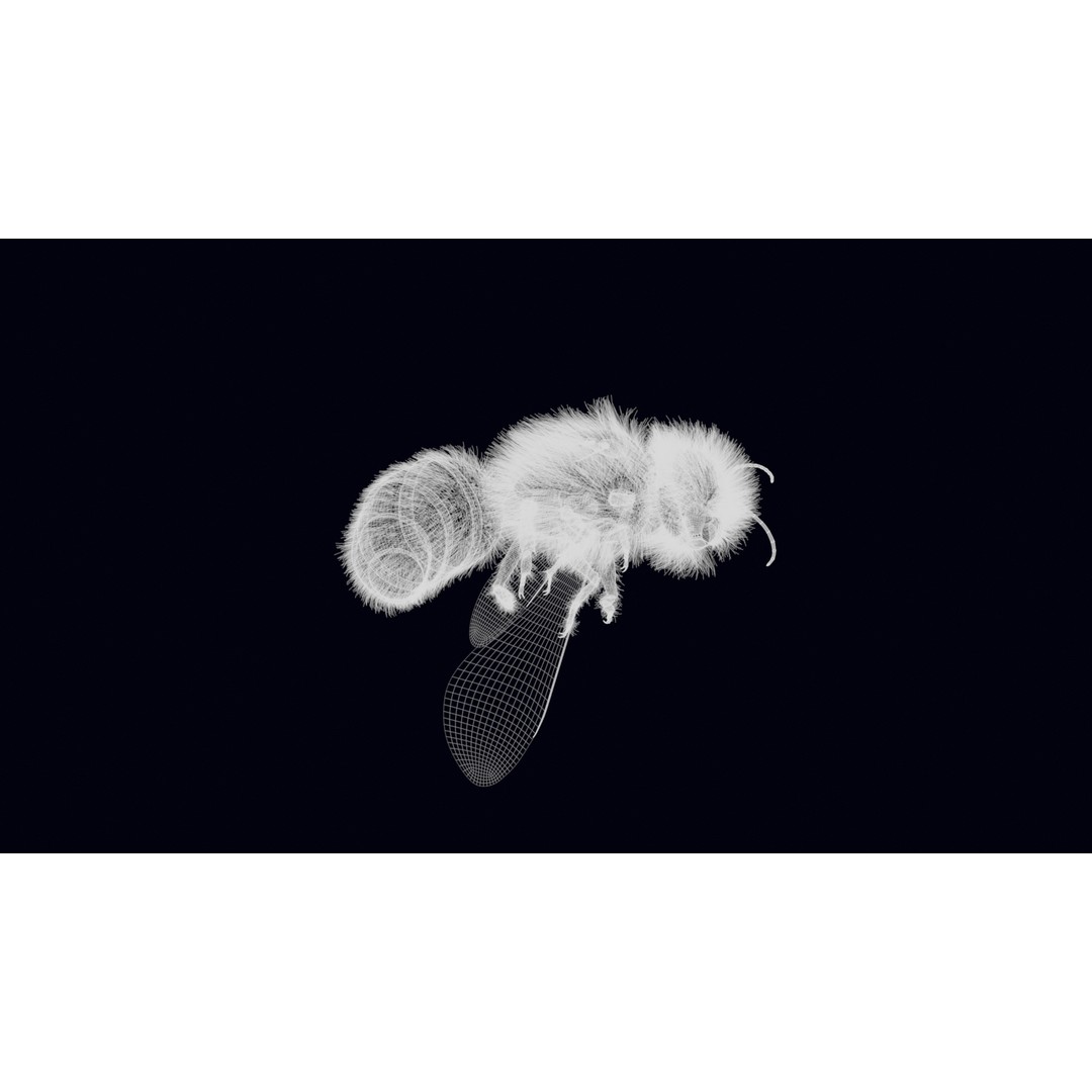 Animated Worker Bee 3D Model – Rigged PBR Asset, FBX & Blender Formats - View 28