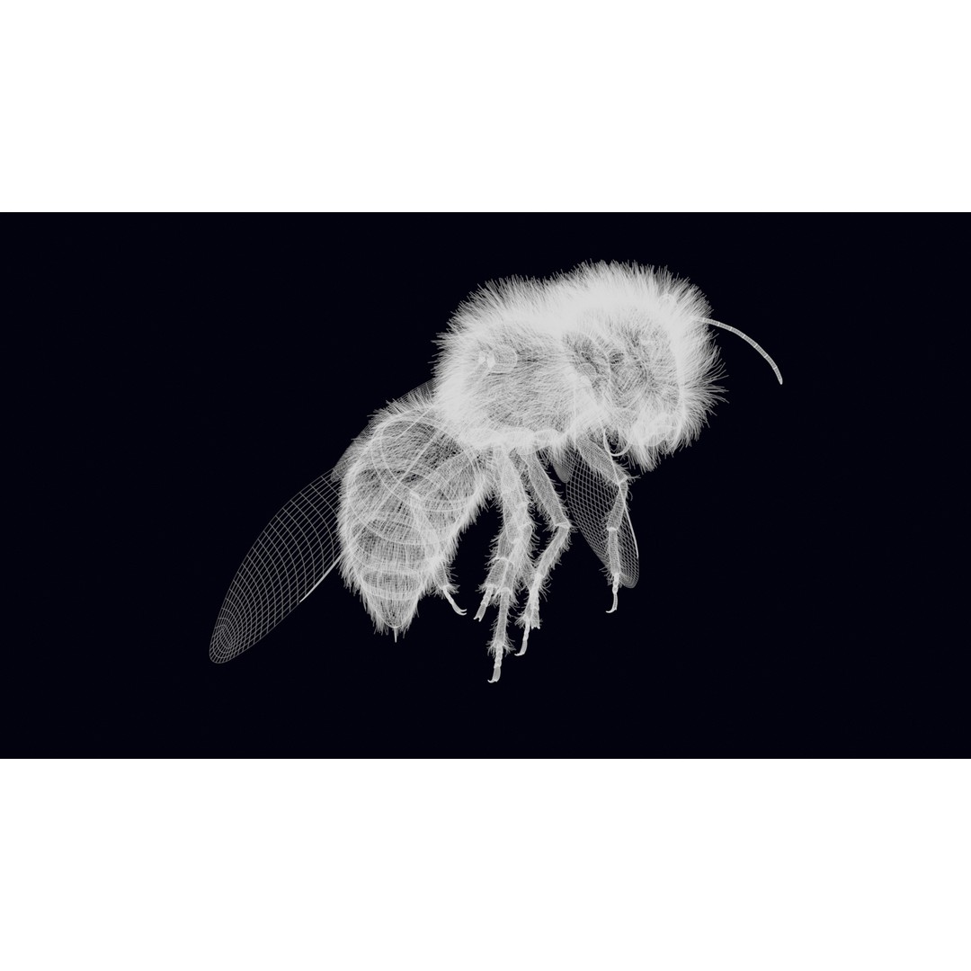 Animated Worker Bee 3D Model – Rigged PBR Asset, FBX & Blender Formats - View 29