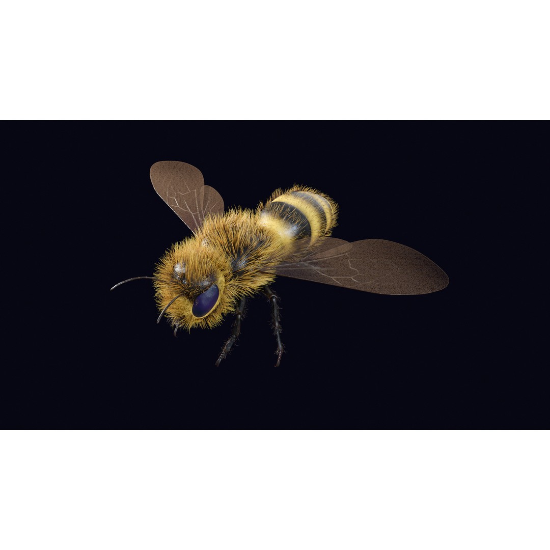 Animated Worker Bee 3D Model – Rigged PBR Asset, FBX & Blender Formats - View 3