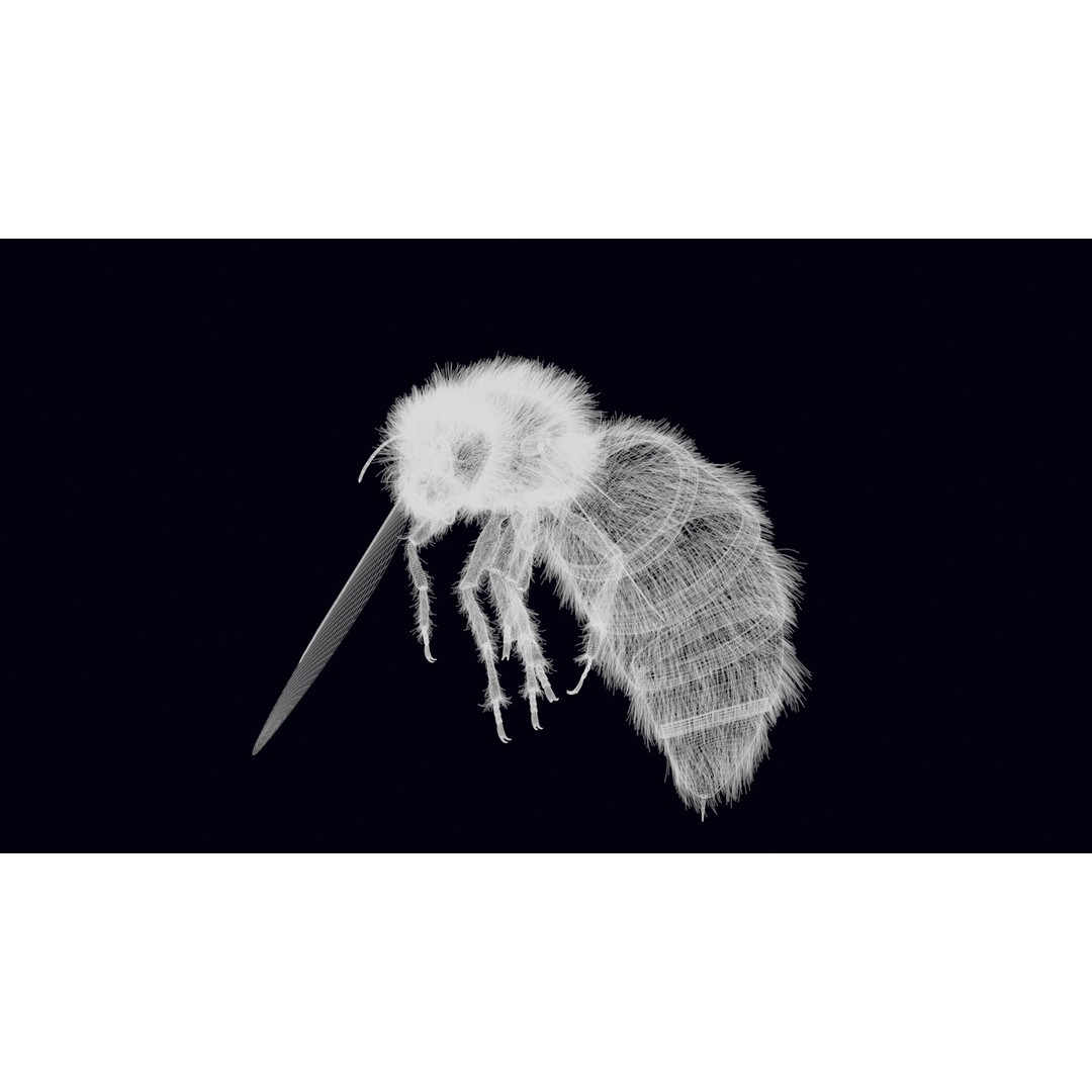 Animated Worker Bee 3D Model – Rigged PBR Asset, FBX & Blender Formats - View 30